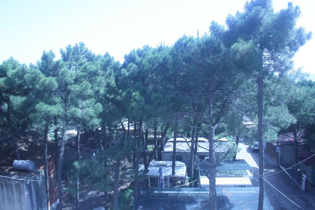 Hotel Temali 2 Velipojë Exteriér fotografie
